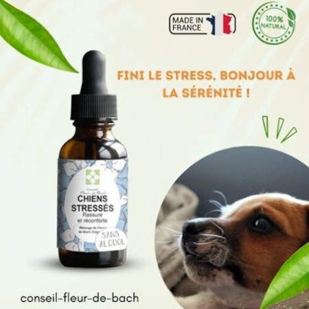 Fleurs de Bach pour Chien Stressé Sans Alcool - Apaisement Naturel 30 ml