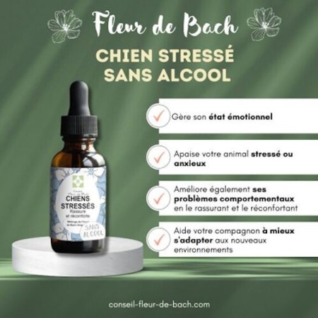 Fleurs de Bach pour Chien Stressé Sans Alcool - Apaisement Naturel 30 ml