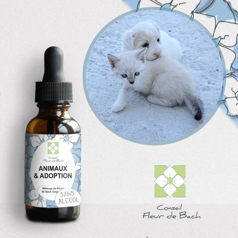 Fleurs de Bach pour Animaux et Adoption Sans Alcool - Aide à l'Adaptation 30 ml