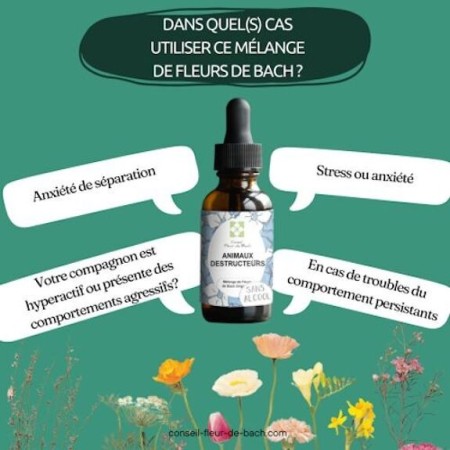 Fleurs de Bach pour Animaux et Adoption Sans Alcool - Aide à l'Adaptation 30 ml