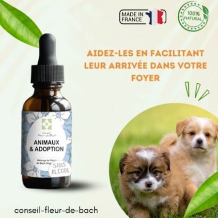 Fleurs de Bach pour Animaux et Adoption Sans Alcool - Aide à l'Adaptation 30 ml