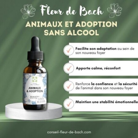 Fleurs de Bach pour Animaux et Adoption Sans Alcool - Aide à l'Adaptation 30 ml